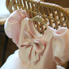Little Flower Children's Show Dress