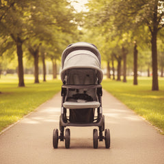 Twin stroller
